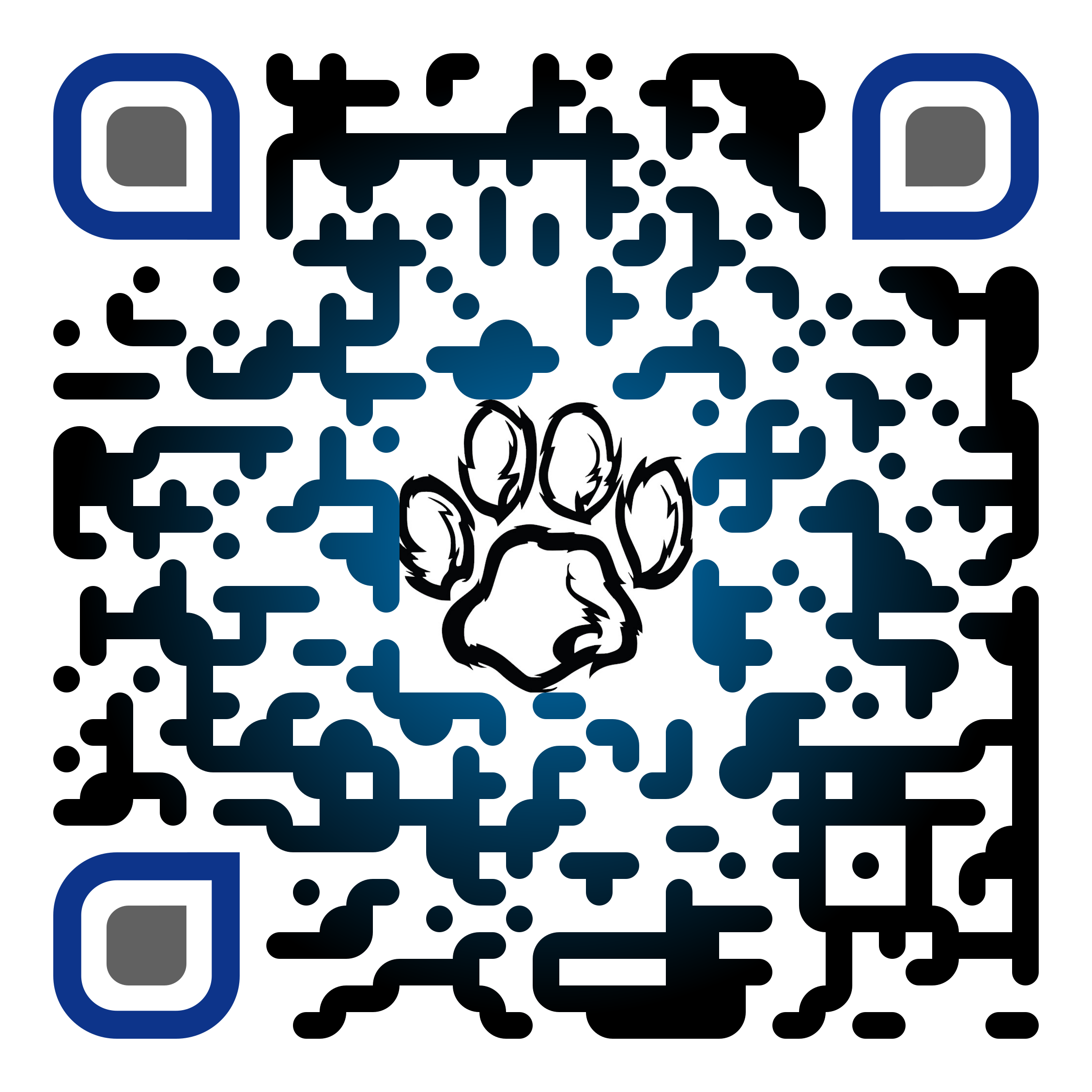 QR Code 3