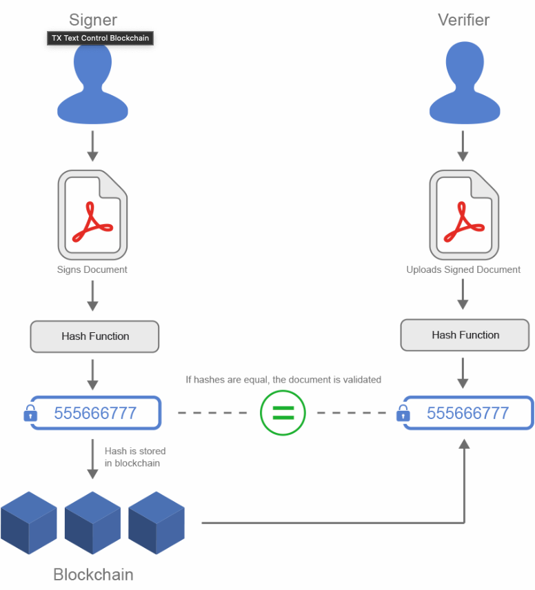 DNFT Workflow